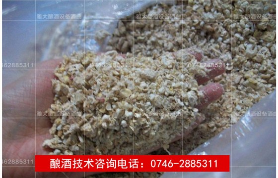 【雅大燒酒設(shè)備釀酒教學(xué)】玉米生料釀酒技術(shù)