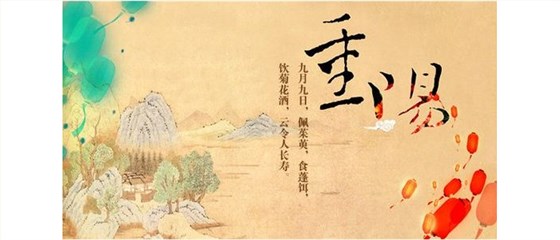 【烤酒設(shè)備】重陽(yáng)節(jié)你喝菊花酒了嗎？