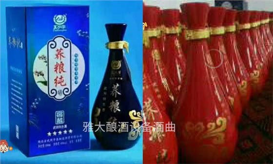 40年酒廠釀酒設備做白酒經驗，轉戰(zhàn)果酒市場年銷量突破220萬04