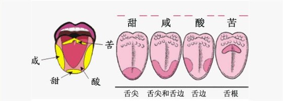 糧食釀酒設(shè)備—白酒勾調(diào)品評常見問題答疑-02