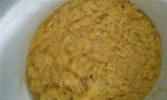 專業(yè)大型釀酒設(shè)備廠家為您分享橙子酒的制作方法-04-冰糖橙子二次發(fā)酵