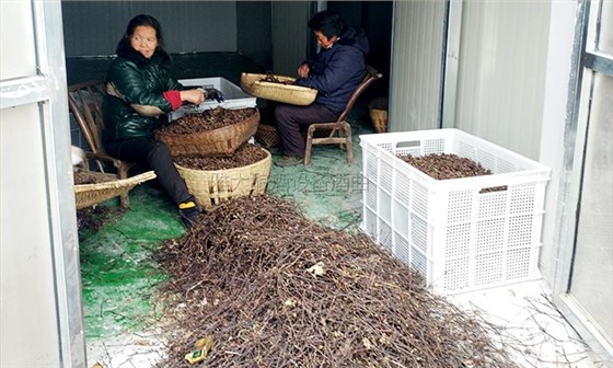 40噸拐棗急需發(fā)酵怎么辦？雅大電加熱釀酒設(shè)備蔣老師上門(mén)指導(dǎo)！-03