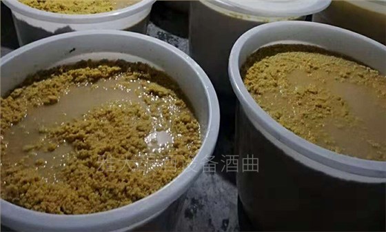 玉米釀酒設備做的生料玉米酒口感真的有那么差么？-01-玉米生料釀酒