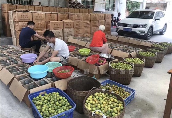 2024一個人就能干的小本創(chuàng)業(yè)項目——回鄉(xiāng)開酒坊 釀酒設(shè)備 7