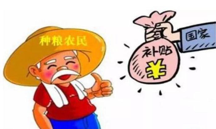 【白酒生產(chǎn)設備】主糧的保護價收購需貫徹