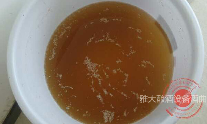 「蒸酒設(shè)備」大米生料發(fā)酵完成，酒醅成茶色