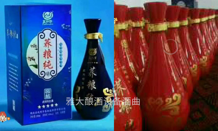 40年酒廠釀酒設(shè)備做白酒經(jīng)驗(yàn)，轉(zhuǎn)戰(zhàn)果酒市場(chǎng)年銷量突破220萬04