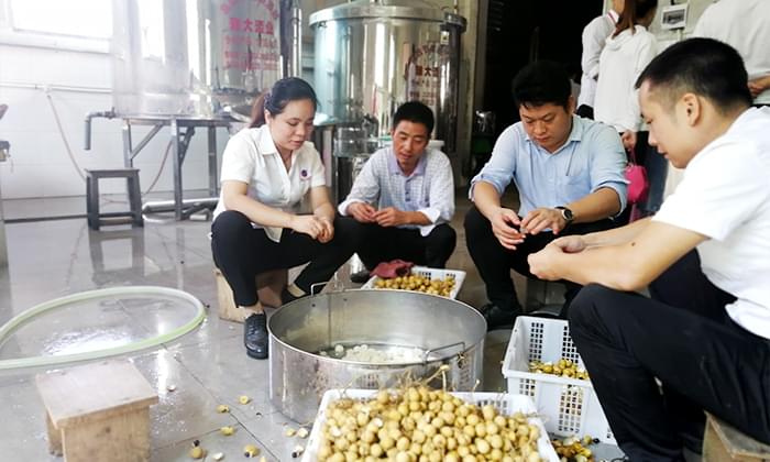 雅大技術團隊在制作龍眼酒