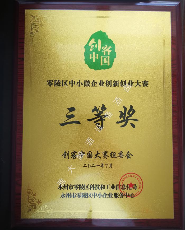 雅大榮獲2021年“創(chuàng)客中國”零陵區(qū)中小微企業(yè)創(chuàng)新創(chuàng)業(yè)大賽三等獎(jiǎng) 1